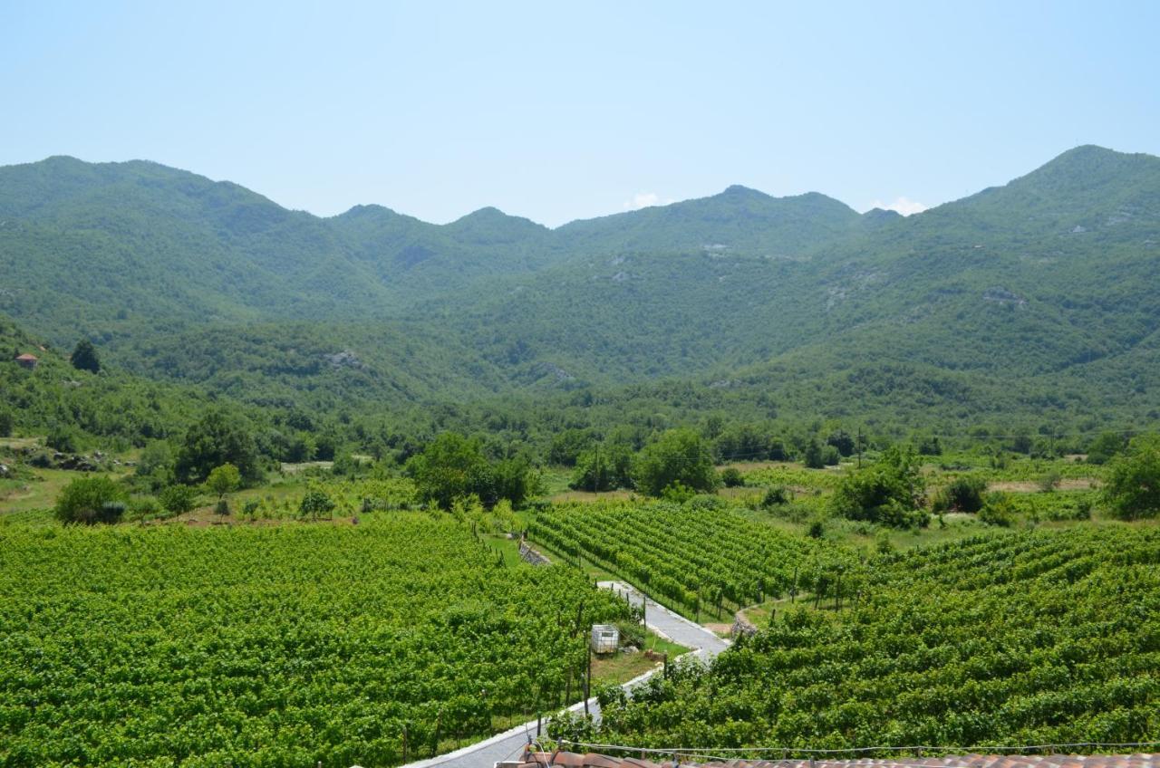 Markovic Winery And Estate Apartments Cetinje Exterior foto